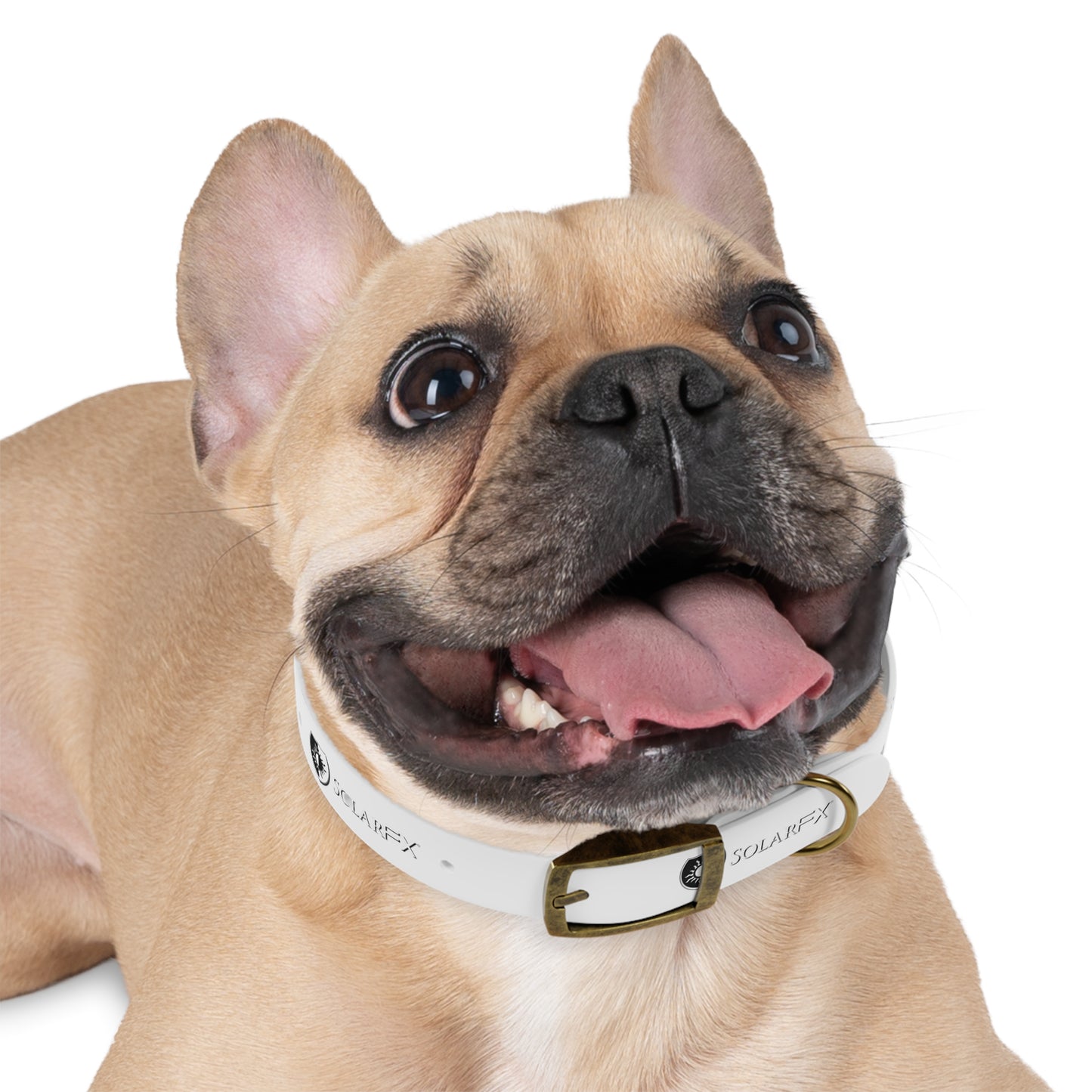 SolarFX Dog Collar