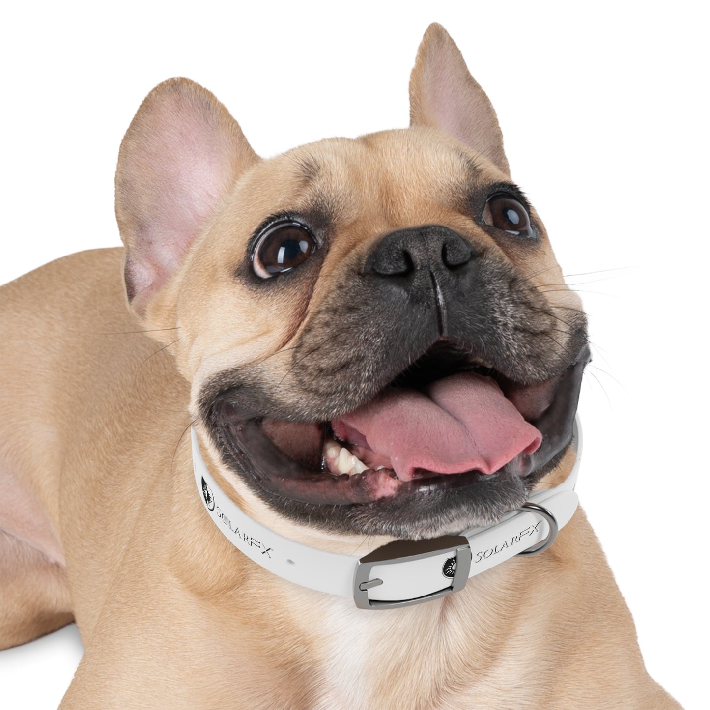 SolarFX Dog Collar
