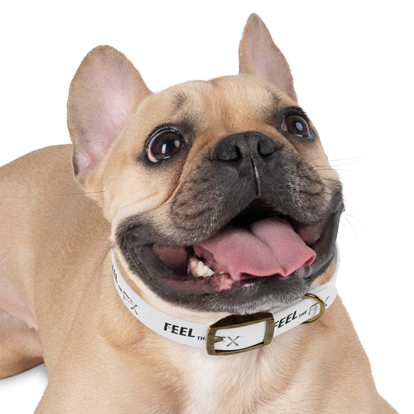 Feel the FX Dog Collar