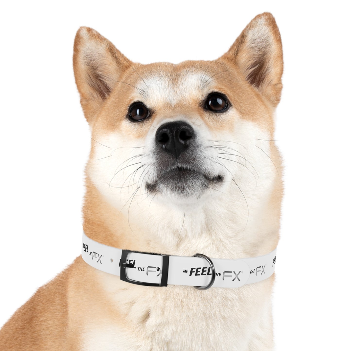 Feel the FX Dog Collar