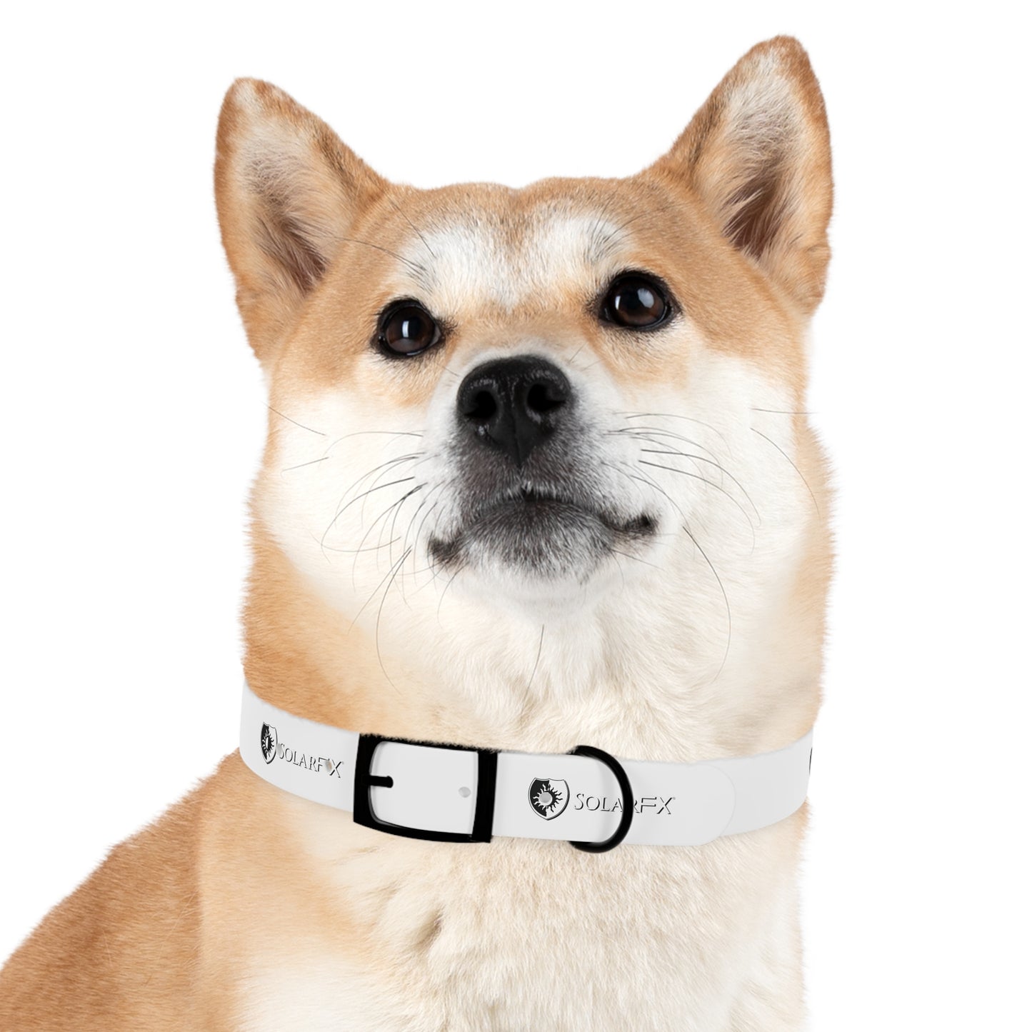SolarFX Dog Collar