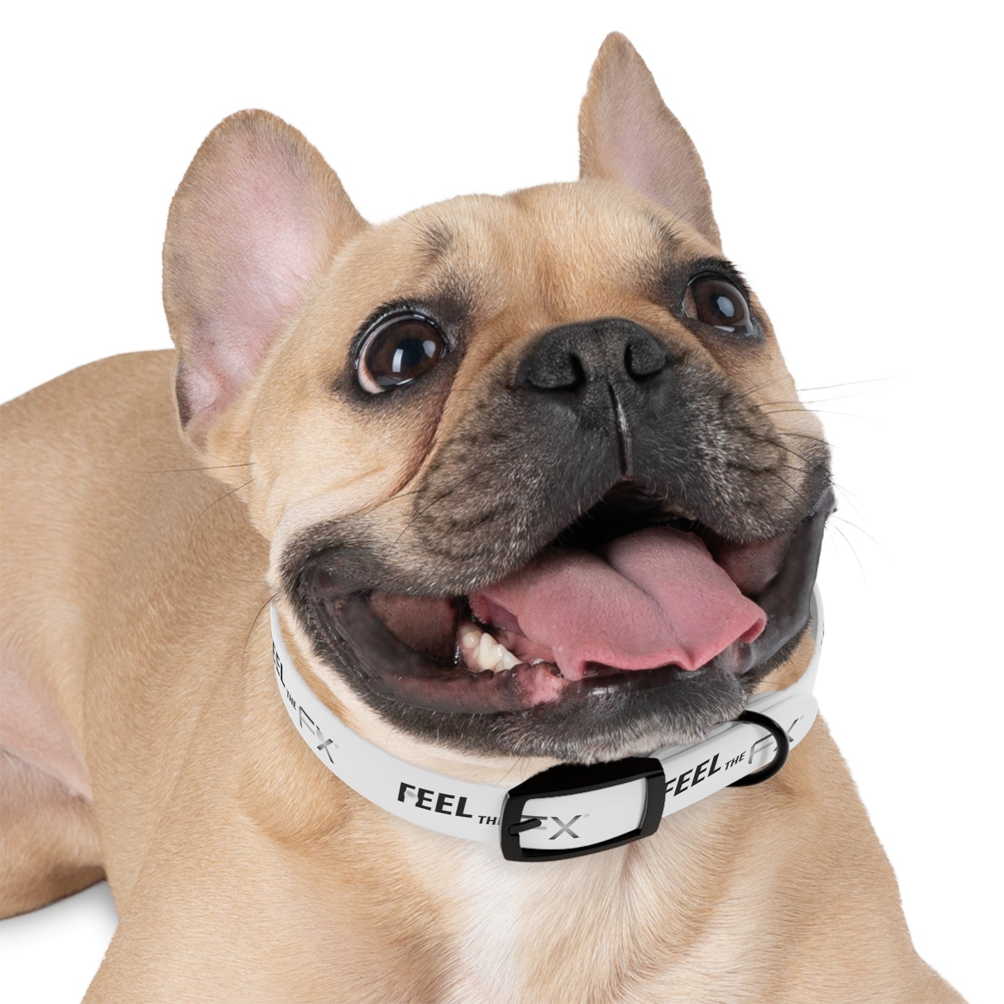 Feel the FX Dog Collar