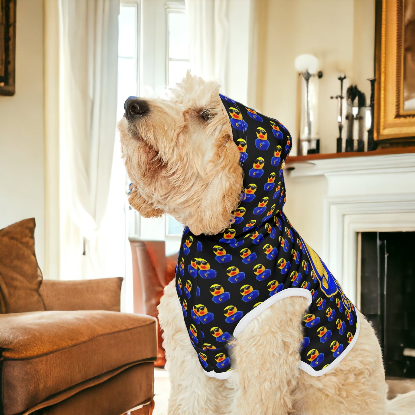 Shady S. Duck Pet Hoodie